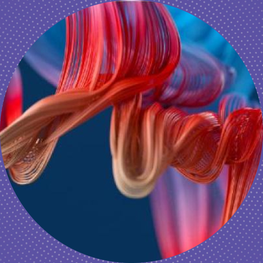 Ellipse 49.jpg