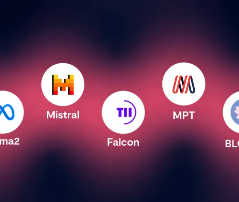Comparing the best: A closer look at the top 5 open-source LLMs